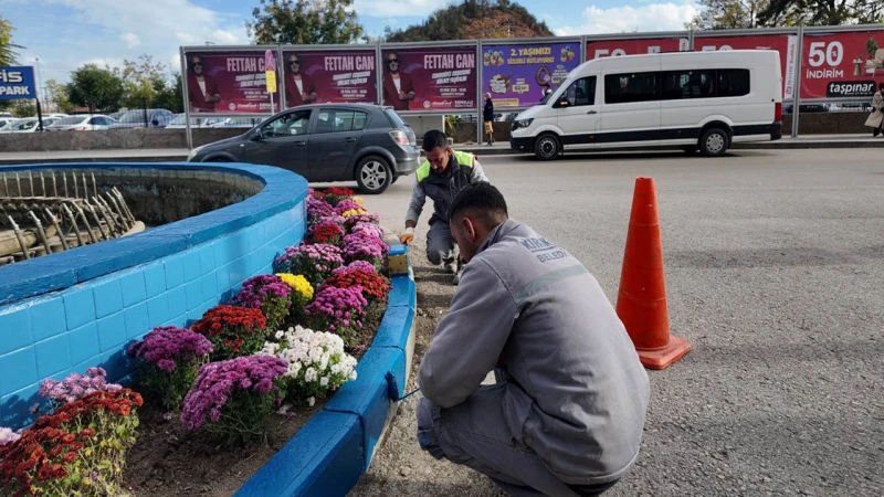 Park ve Bahçeler Müdürlüğü "Arı Gibi" çalışıyor