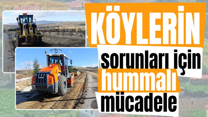 Köylerin sorunları için hummalı mücadele