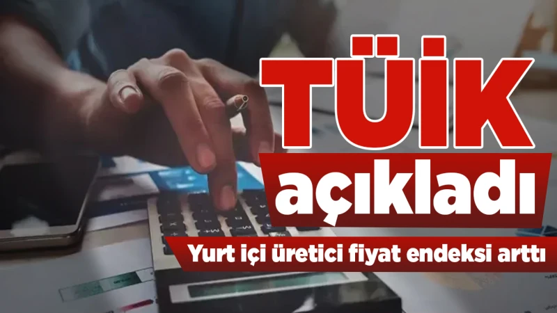 Yurt içi üretici fiyat endeksi arttı