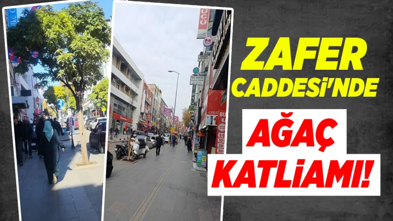 Zafer Caddesi’nde ağaç katliamı!