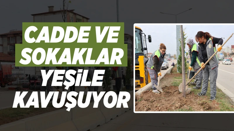 Cadde ve sokaklar yeşile kavuşuyor
