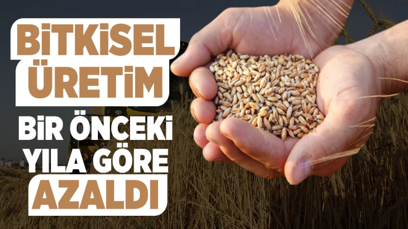 Bitkisel üretim bir önceki yıla göre azaldı