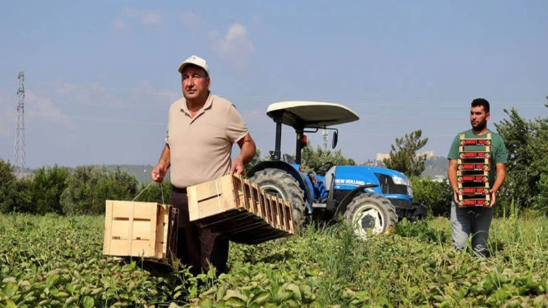 Kırıkkale’de çiftçiye ek tarımsal destek müjdesi