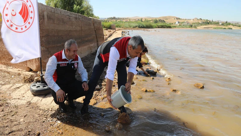 Kapulukaya Barajı’na 695 bin sazan yavrusu bırakıldı