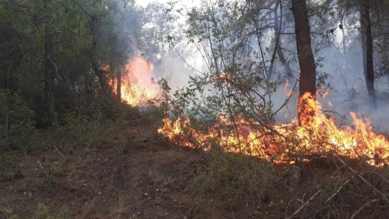 Keskin’de korkutan yangın!