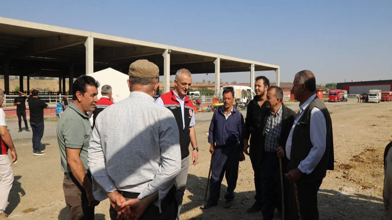 Hayvan pazarı tamamen yeniden hizmete açıldı