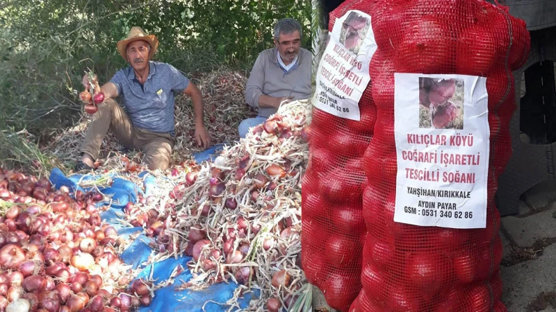 Kılıçlar Köyü’nün meşhur soğanı Söğüt Yörük sofrasında