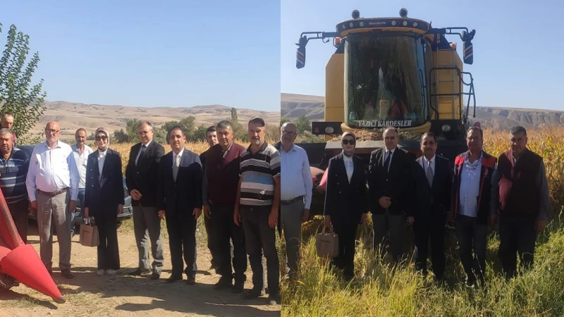 Karabucak Köyünde mısır hasadı başladı