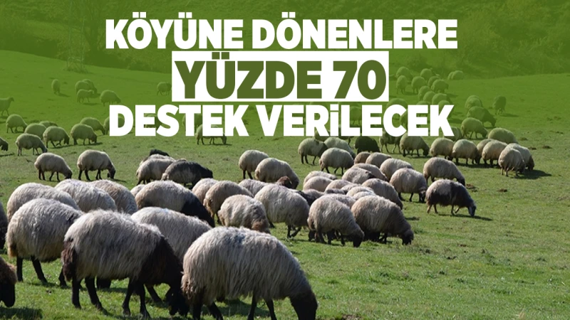 Köyüne dönenlere yüzde 70 destek verilecek