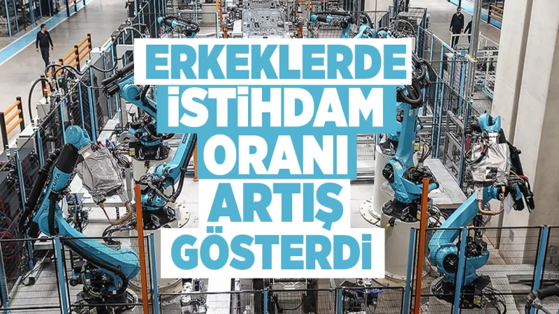 Erkeklerde istihdam oranı artış gösterdi