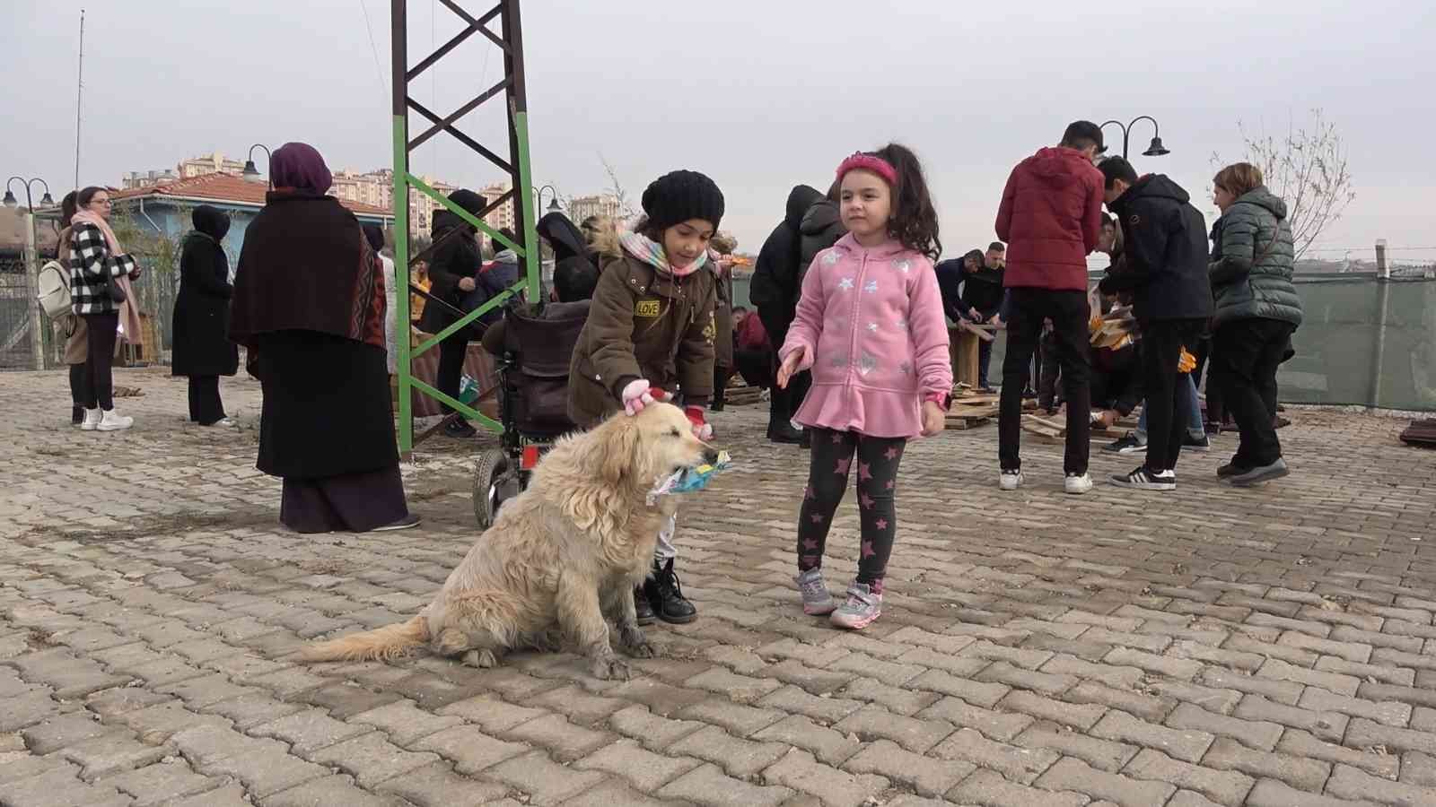 Gönüllü vatandaşlar sokak hayvanları için yuva yaptı