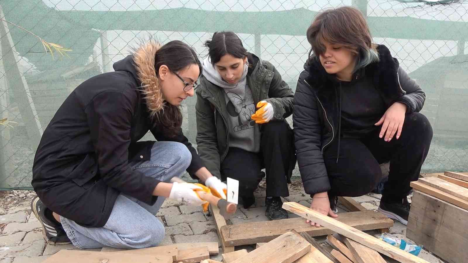 Gönüllü vatandaşlar sokak hayvanları için yuva yaptı