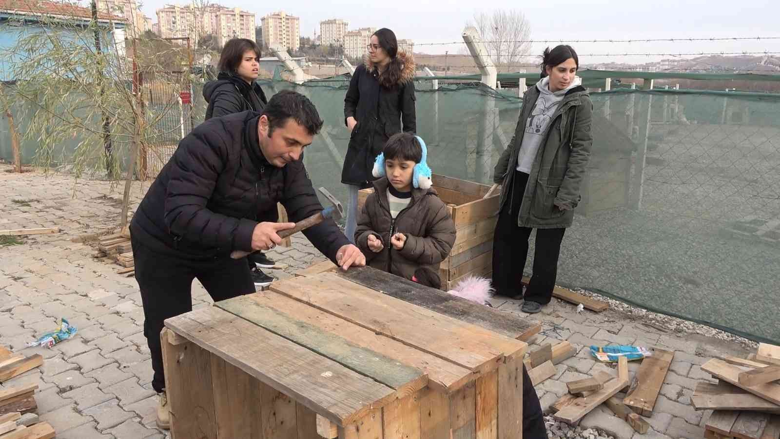 Gönüllü vatandaşlar sokak hayvanları için yuva yaptı