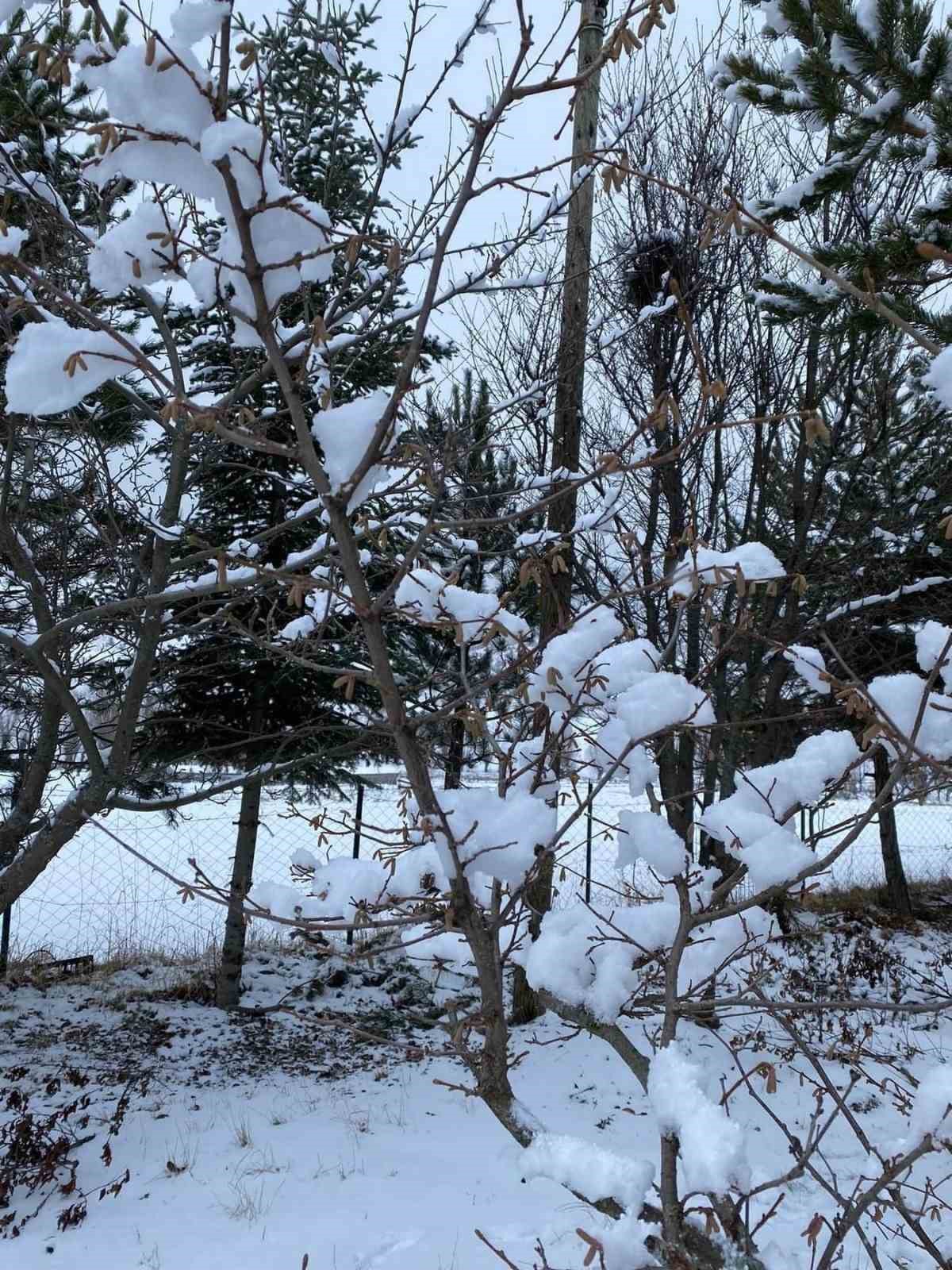 Kızılcahamam ve Çubuk’ta kar yağışı etkili oldu