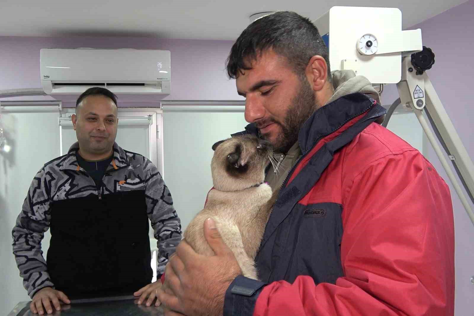 Depremde kaybolmuştu, mikroçip sayesinde ’Paşa’nın sahibi bulundu