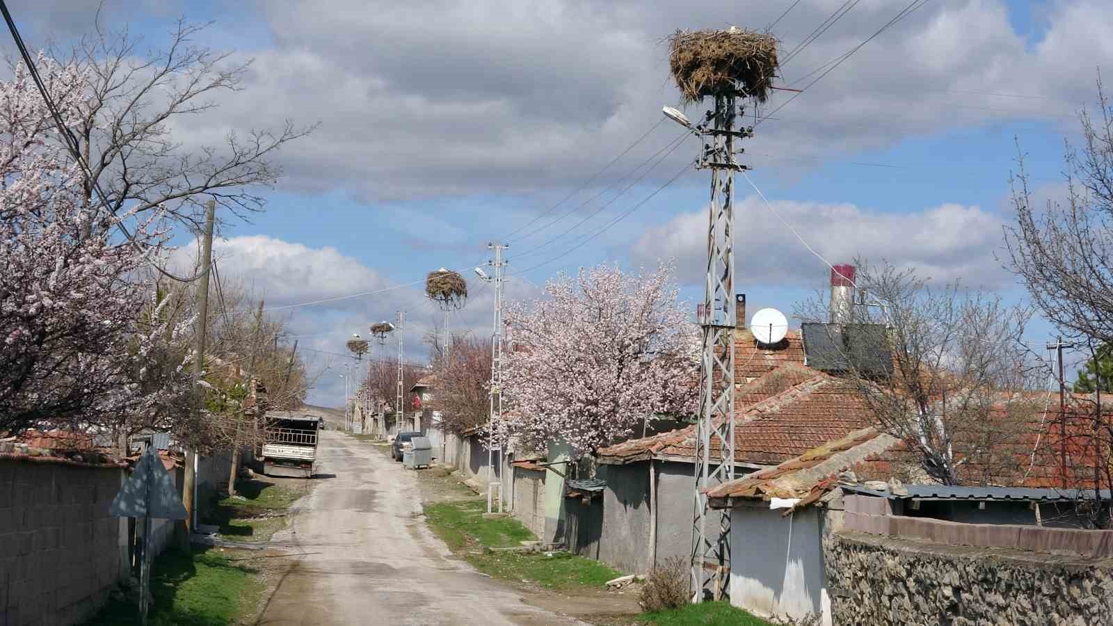 Göçmen köy, göçmen kuşları 60 yıldır misafir ediyor