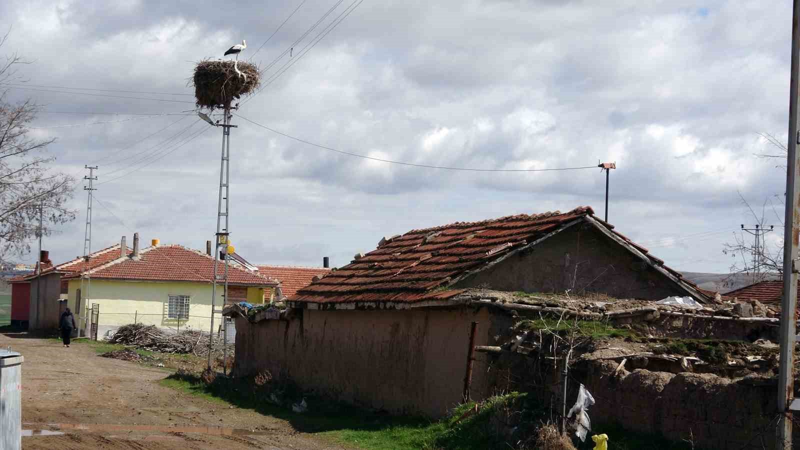 Göçmen köy, göçmen kuşları 60 yıldır misafir ediyor