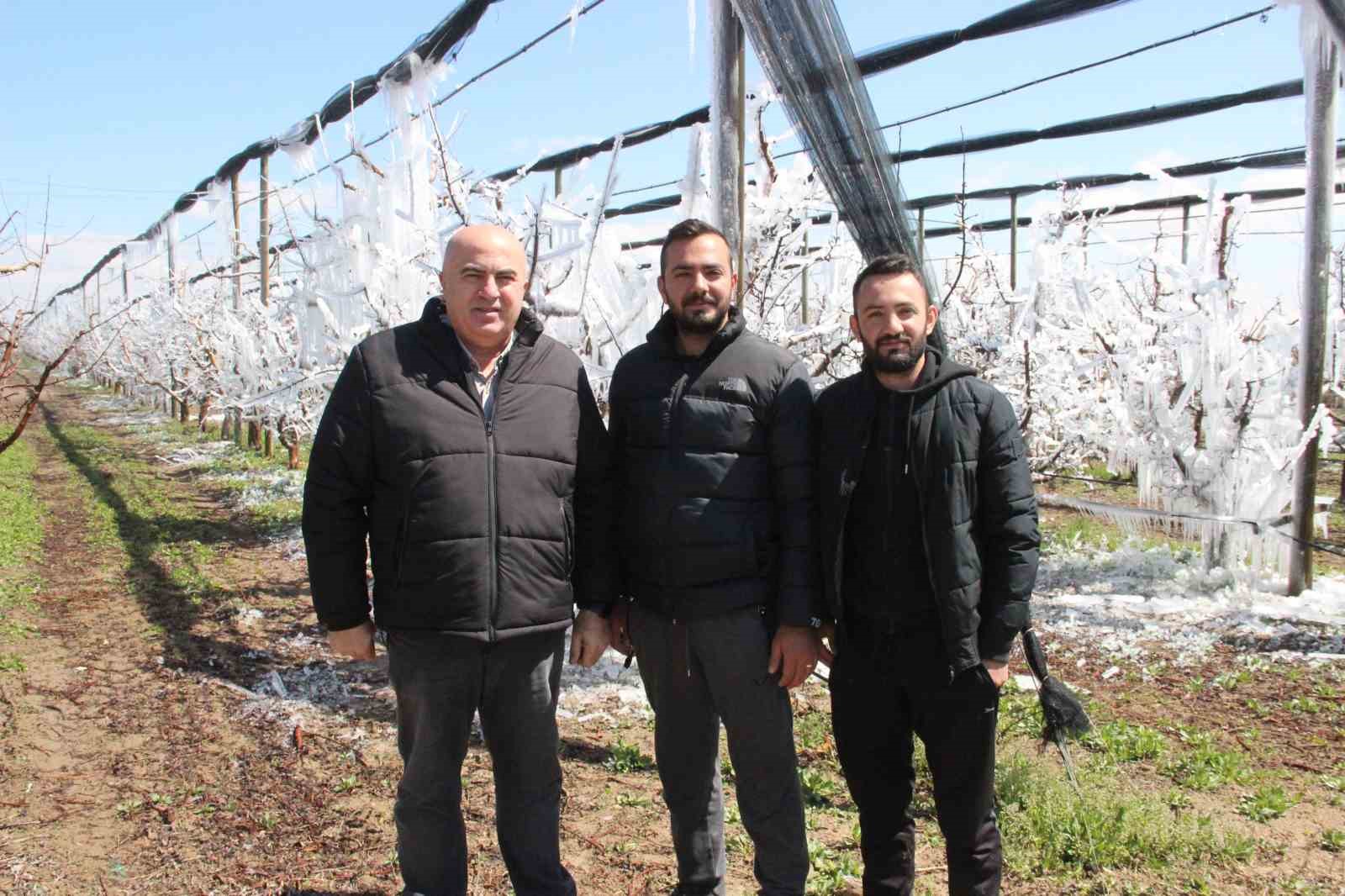 Dona karşı sulanan elma ağaçları buzulları aratmadı