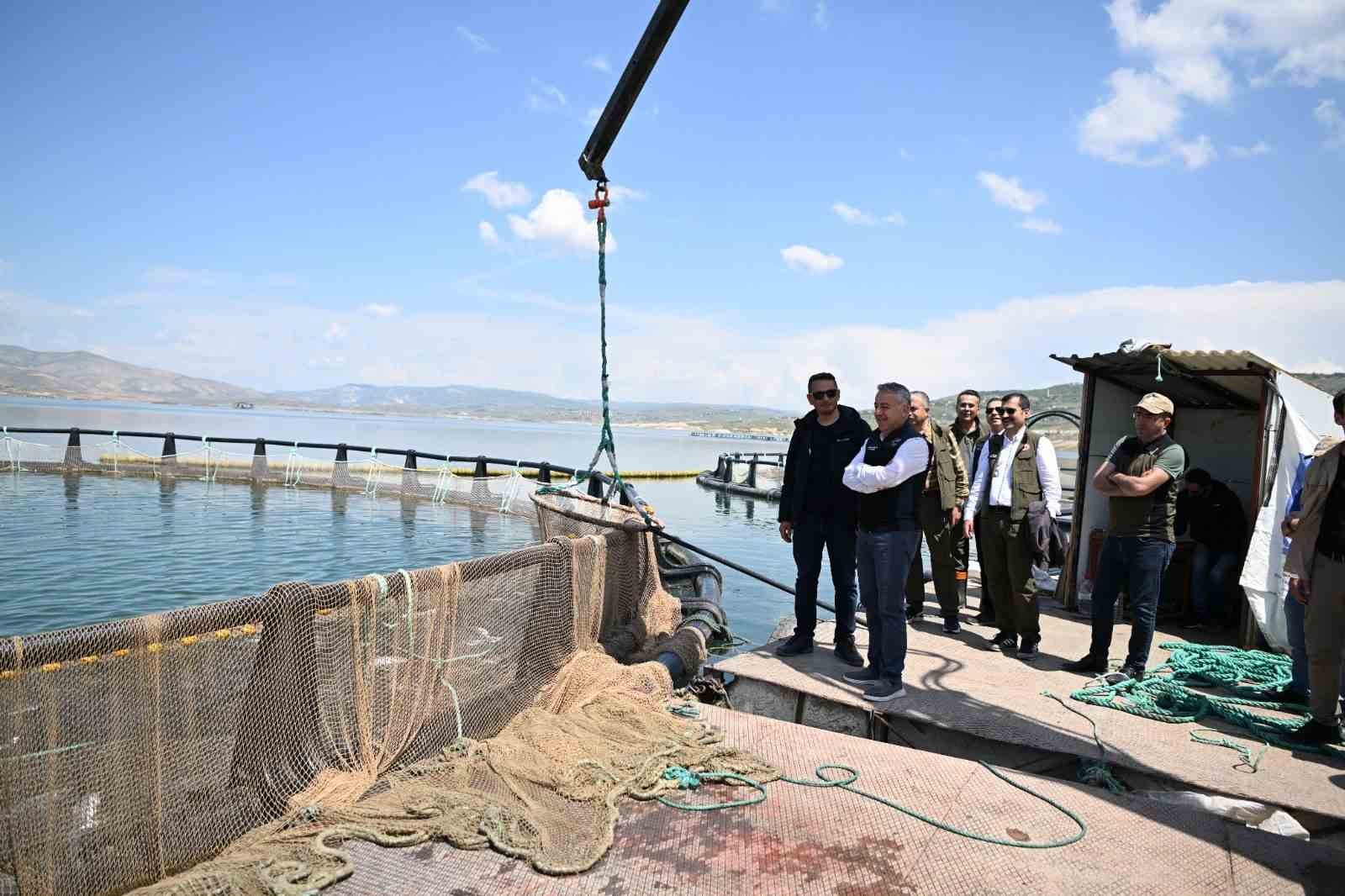 Denizi olmayan Kayseri’de Türk somonu hasadı başladı