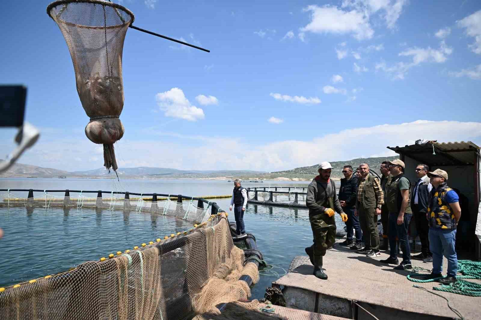 Denizi olmayan Kayseri’de Türk somonu hasadı başladı