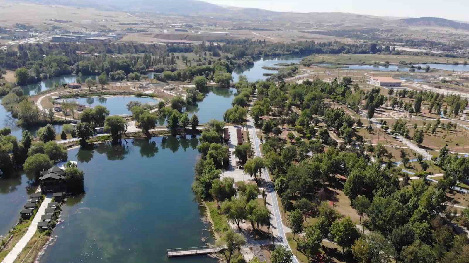 Koruma altındaki Anadolu sincaplarını kafeste tutan şahsa para cezası