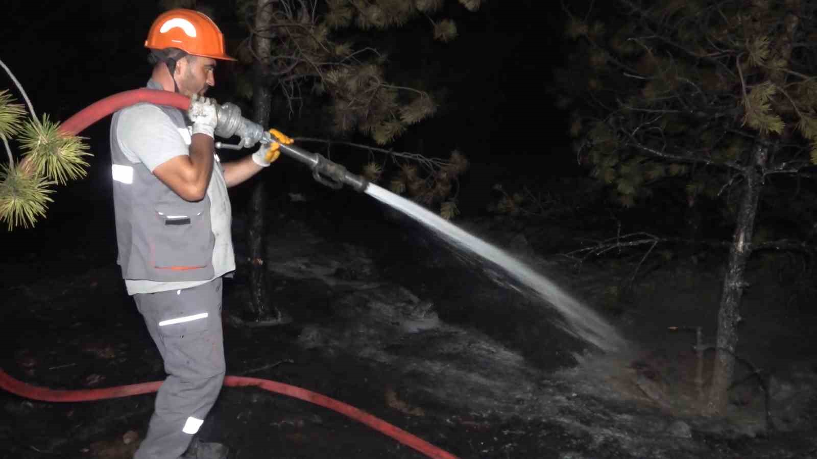 Kırıkkale’de orman yangını