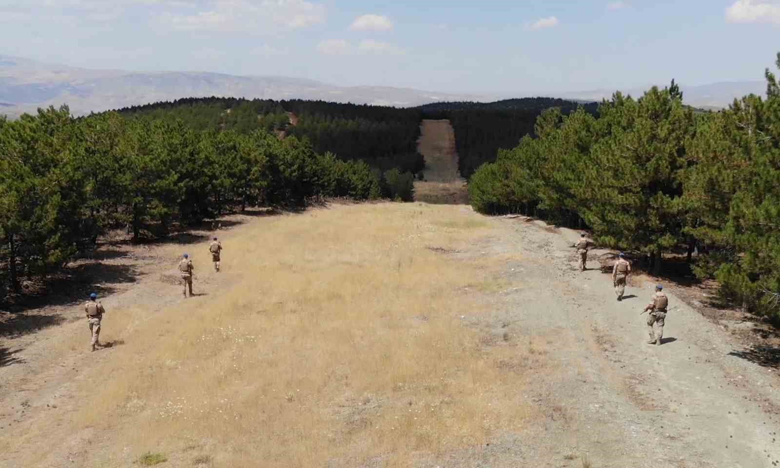 Komandolar orman yangınlarına karşı teyakkuzda: Yeşil doğanın canlıları onlara emanet