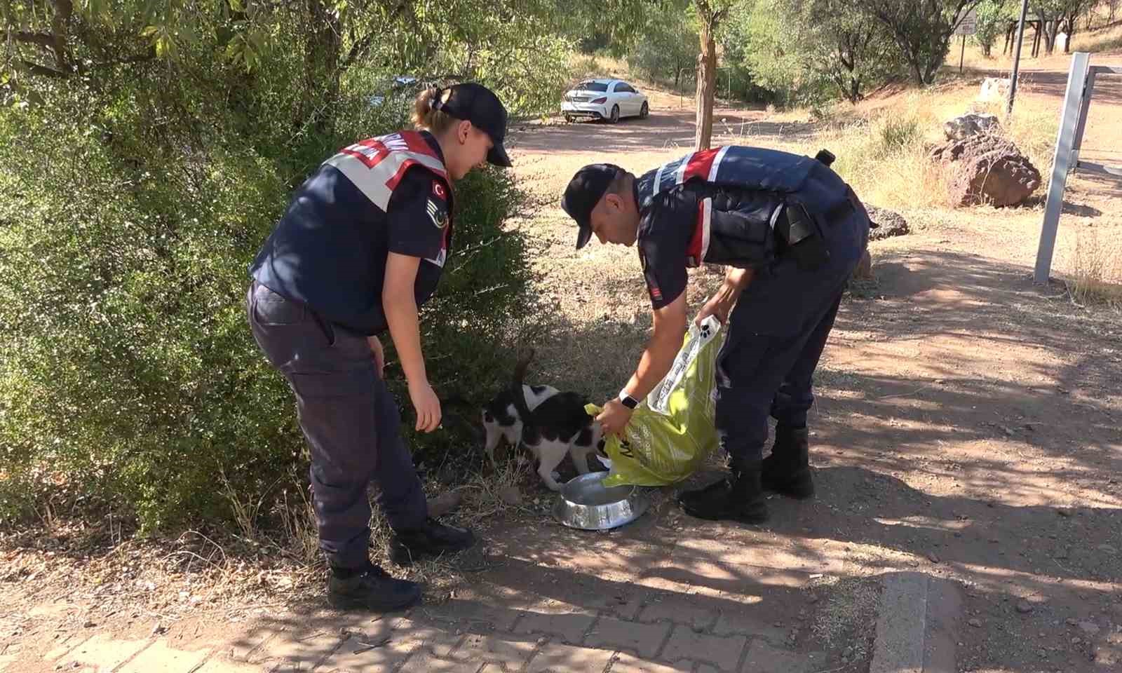 Komandolar orman yangınlarına karşı teyakkuzda: Yeşil doğanın canlıları onlara emanet