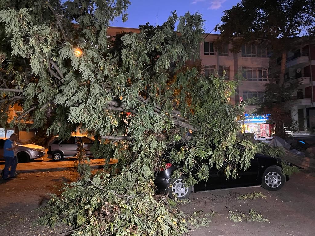 Ankara’da fırtına etkili oldu, ağaçlar araçların üzerine devrildi