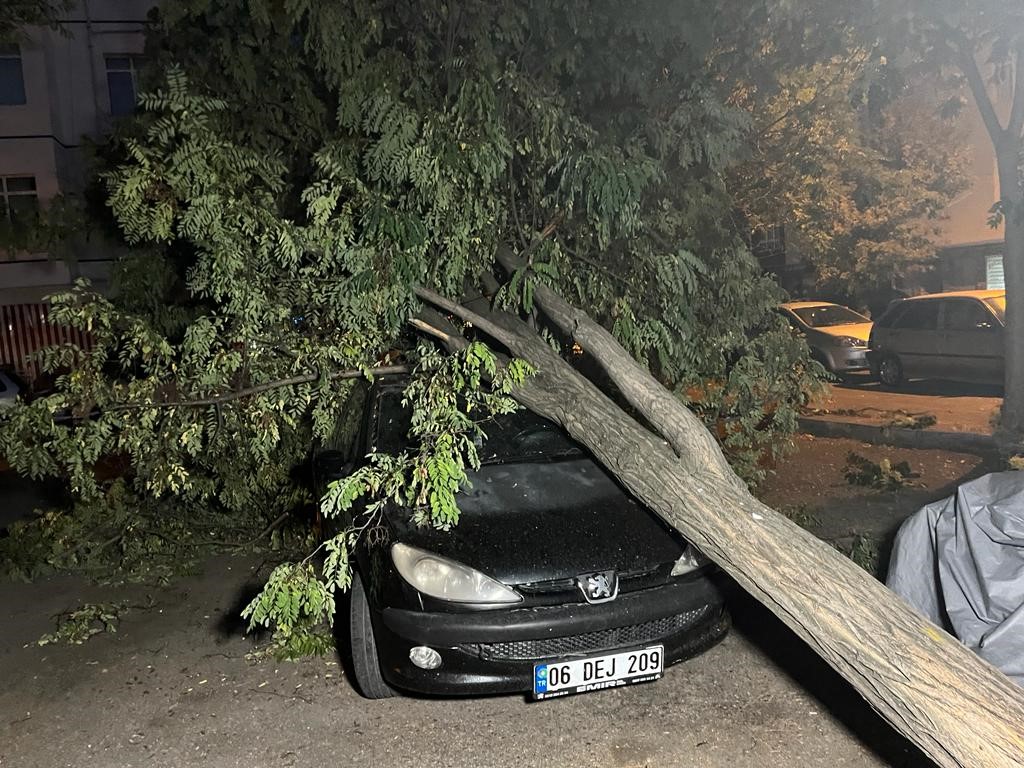 Ankara’da fırtına etkili oldu, ağaçlar araçların üzerine devrildi