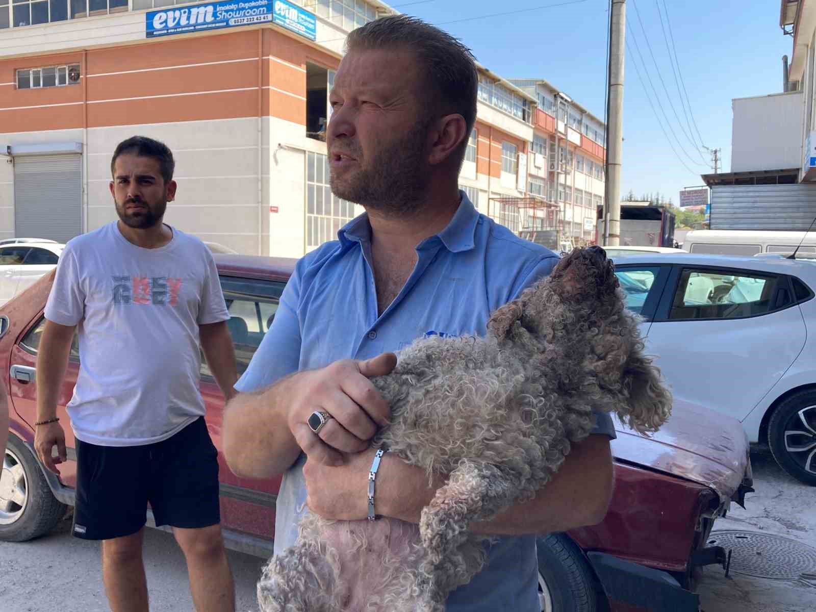 Ankara’da pitbull dehşeti: Evcil hayvanın çenesini kopardı