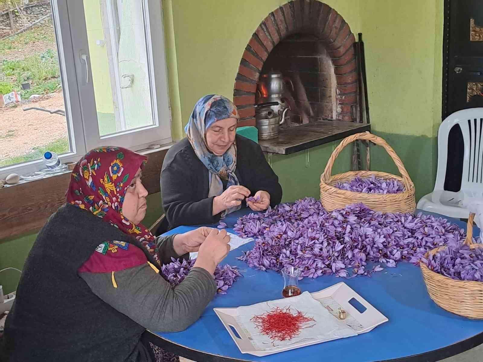 Eskişehirli hanımlar safran diyarı Safranbolu’da söz verdi