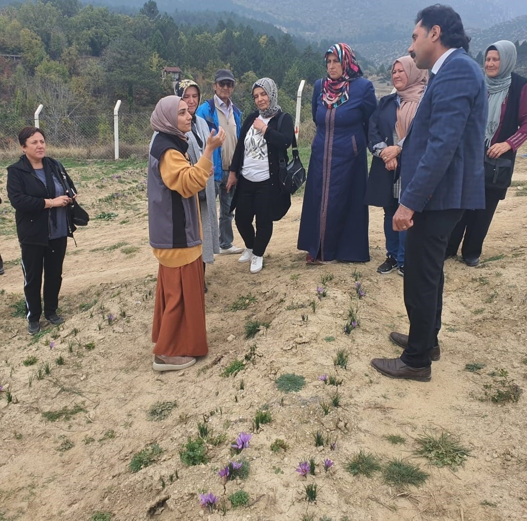 Eskişehirli hanımlar safran diyarı Safranbolu’da söz verdi