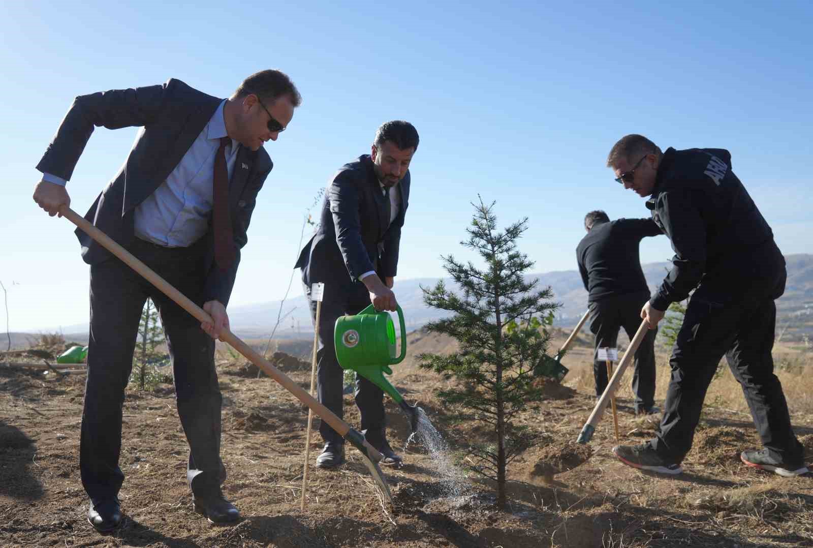 Kırıkkale’de "Türkiye Yüzyılı Mehmetçik Hatıra Ormanı" oluşturuldu