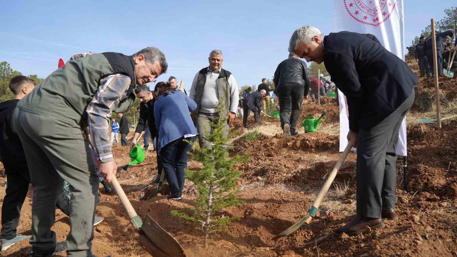 Kırıkkale’de "100. Yıl Cumhuriyet Ormanı" oluşturuldu