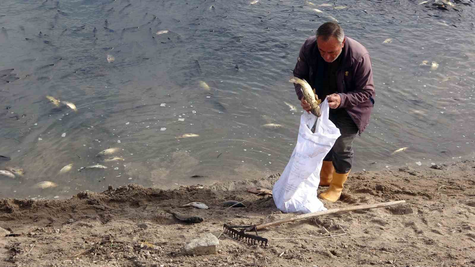 Yozgat’ta sulama barajında toplu balık ölümleri yaşandı