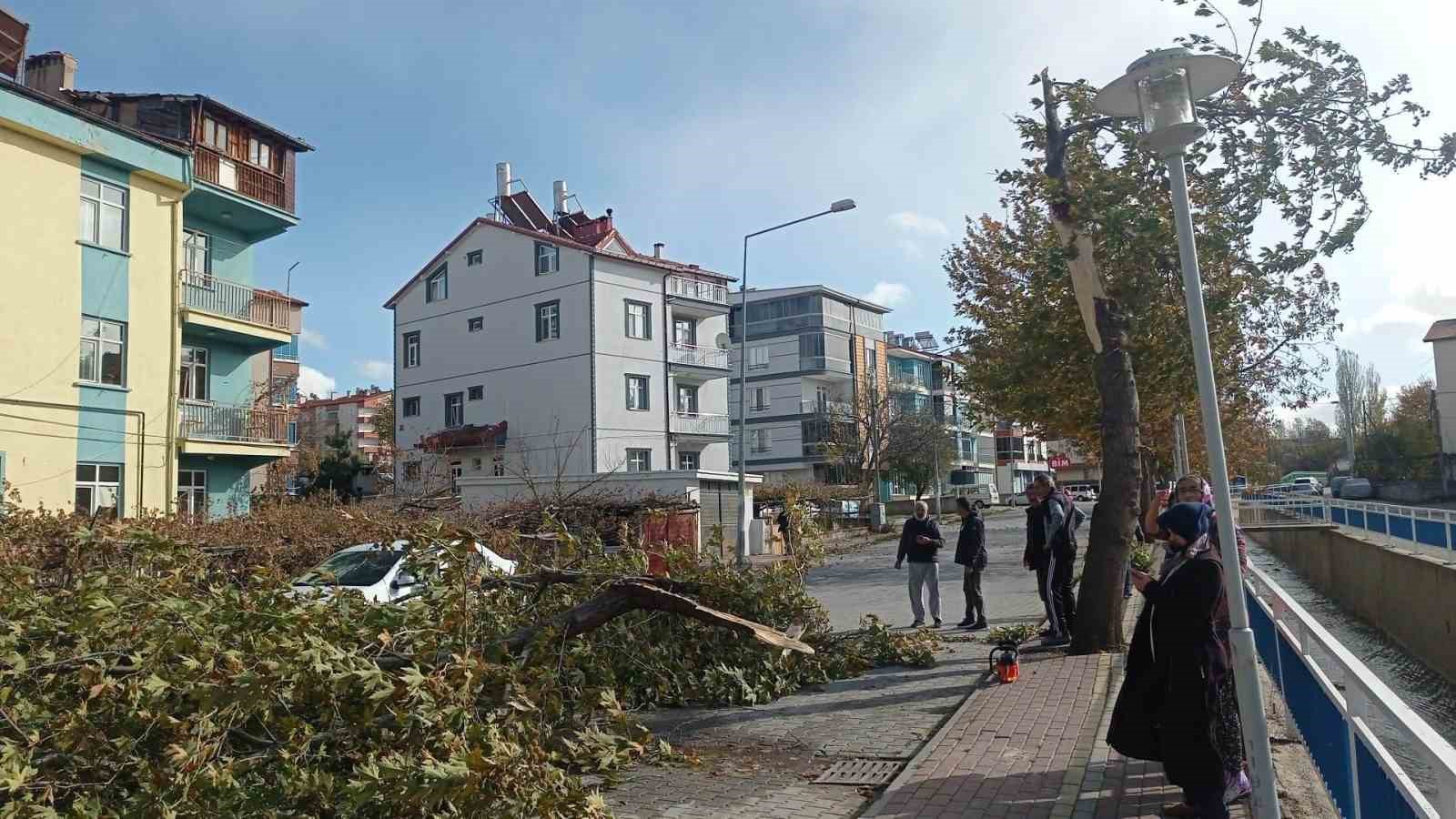 Konya’da şiddetli fırtınada kırılan ağaç park halindeki otomobile zarar verdi