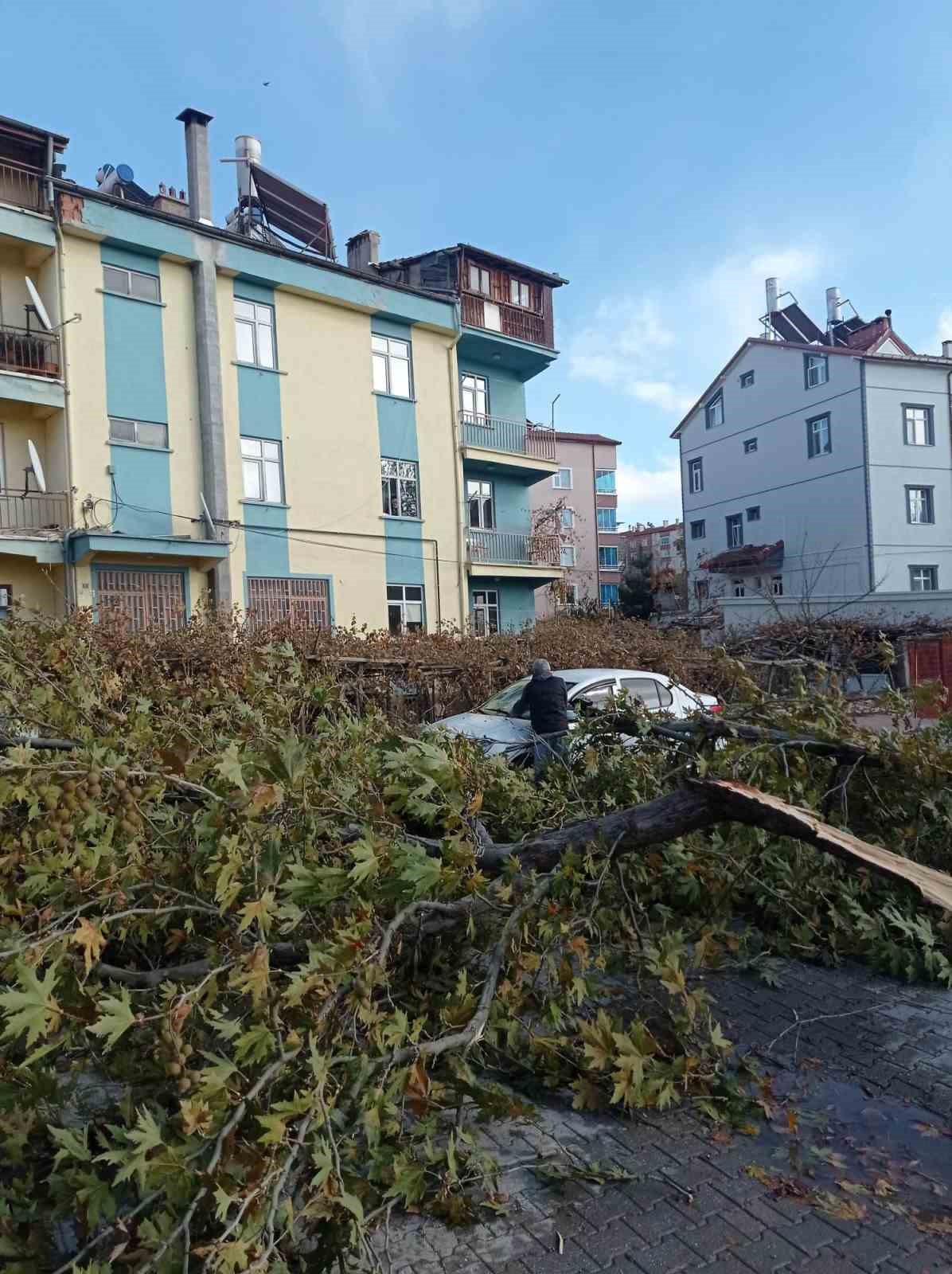 Konya’da şiddetli fırtınada kırılan ağaç park halindeki otomobile zarar verdi