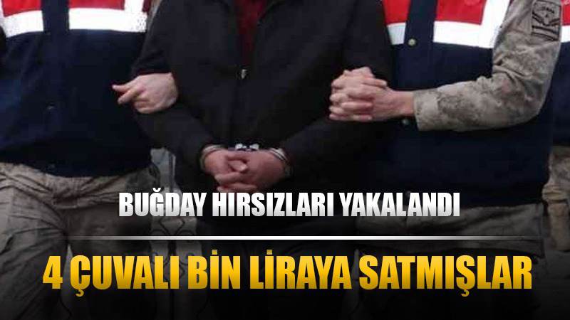 Hırsızlar bu kez çiftçinin buğdayına göz dikti