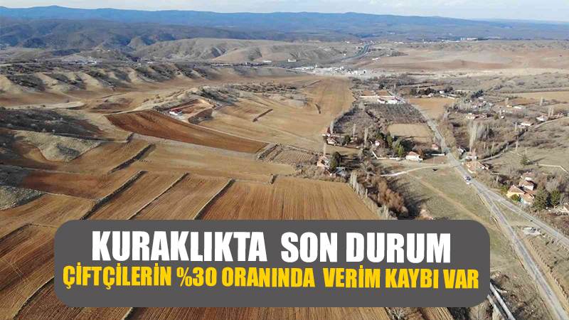 Tedirgin Eden Kuraklık: Vatandaşlar Su Kaynakları Aramaya Başladı