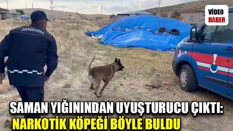 Saman yığınından uyuşturucu çıktı: Narkotik köpeği böyle buldu