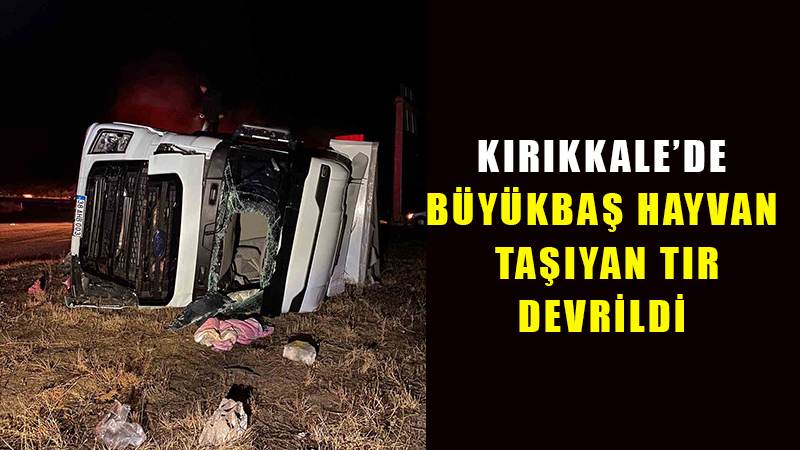 Kırıkkale’de tır devrildi: 2 kişi yaralandı, 2 büyükbaş hayvan telef oldu