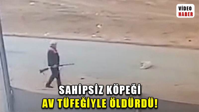 Sahipsiz köpeği av tüfeğiyle öldürdü