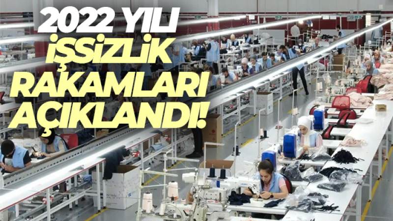 İşsizlik oranı 2022 yılında yüzde 10,4 oldu