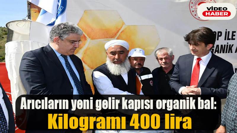 Arıcıların yeni gelir kapısı organik bal: Kilogramı 400 lira