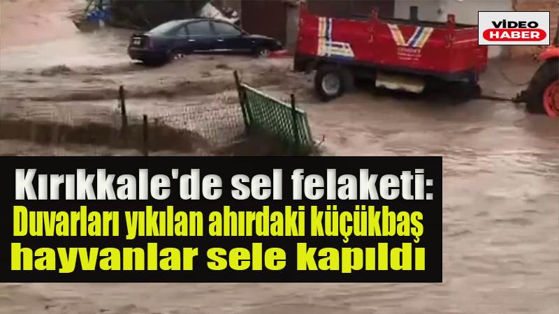 Kırıkkale'de sel felaketi: Duvarları yıkılan ahırdaki küçükbaş hayvanlar sele kapıldı