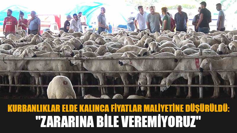 Kurbanlıklar elde kalınca fiyatlar maliyetine düşürüldü: "Zararına bile veremiyoruz"