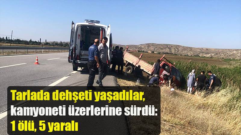 Tarlada dehşeti yaşadılar, kamyoneti üzerlerine sürdü: 1 ölü, 5 yaralı