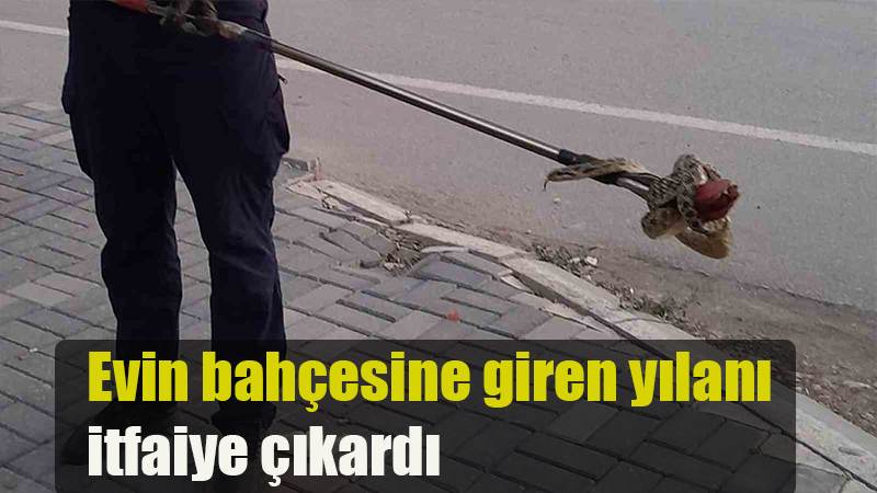 Evin bahçesine giren yılanı itfaiye çıkardı