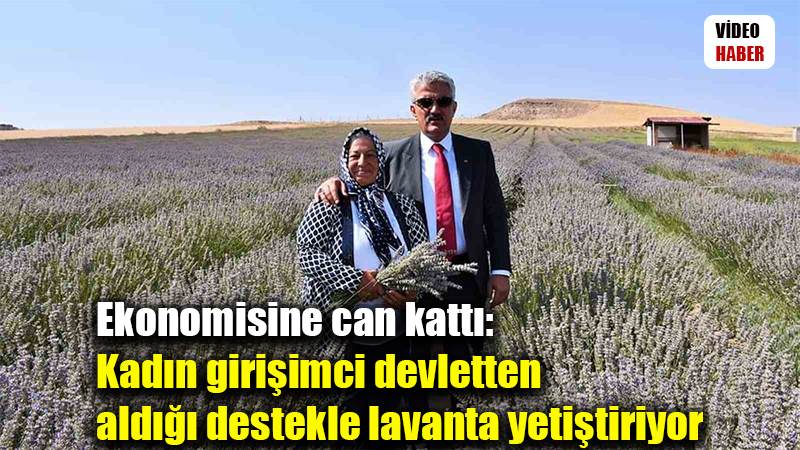 Ekonomisine can kattı: Kadın girişimci devletten aldığı destekle lavanta yetiştiriyor